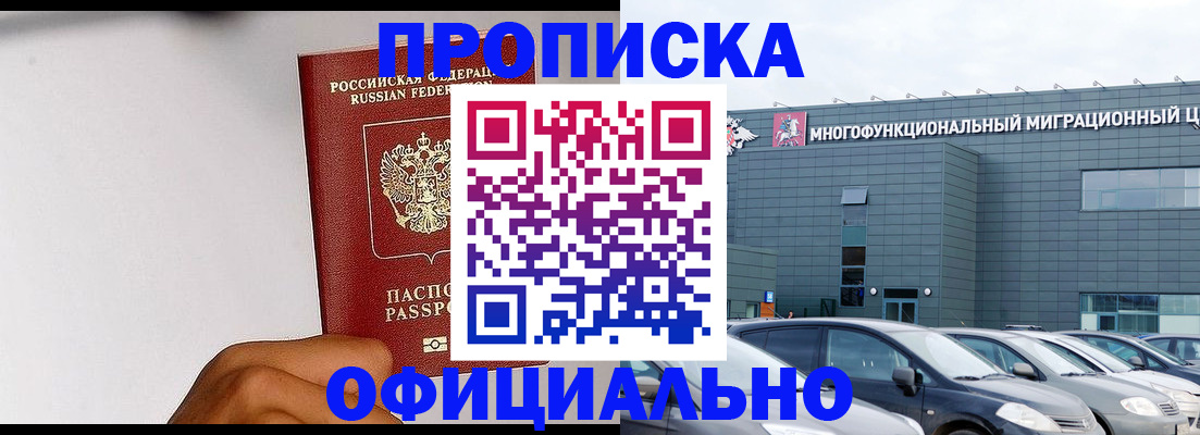 прописка поиск в Новозыбкове